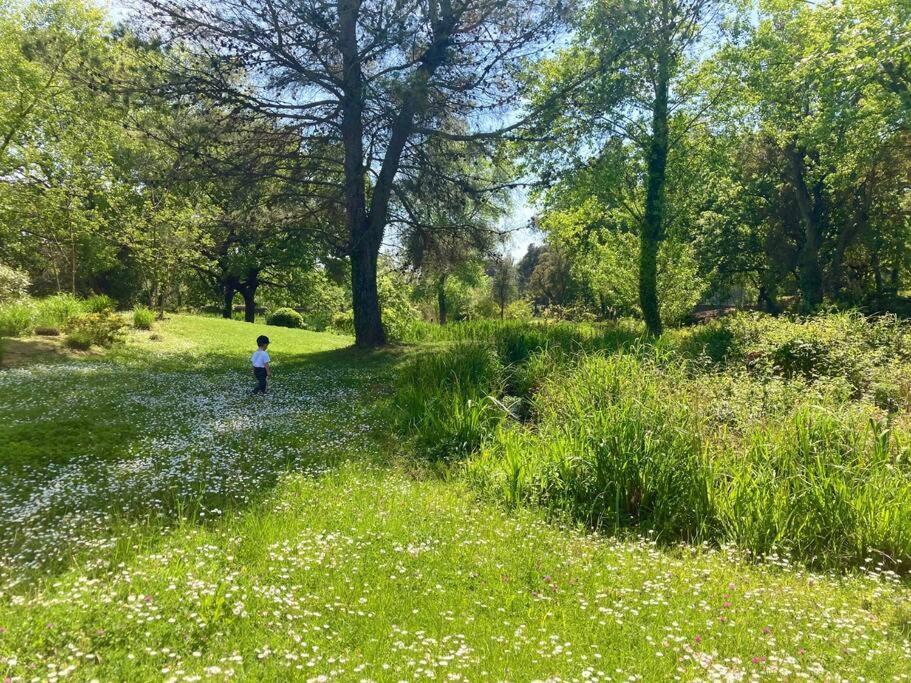Les Restanques Bougainvillee 2051 Grimaud Eksteriør bilde