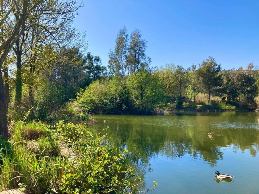 Les Restanques Bougainvillee 2051 Grimaud Eksteriør bilde
